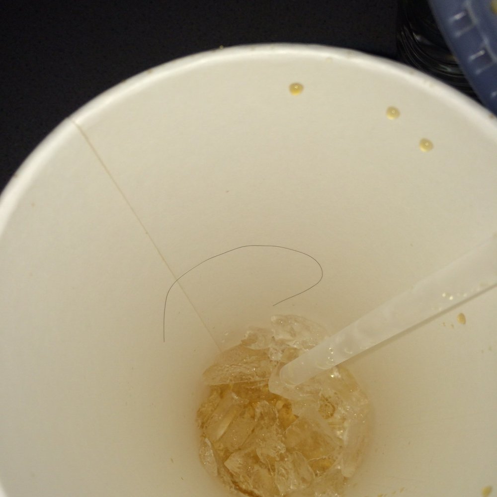Jack in the Box - Found this inside my dr pepper....  Digusting!  Ps--I'm bald - Fast Food Near Me - Austin, Texas