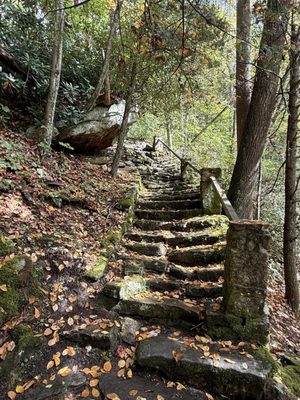 Babcock State Park by null