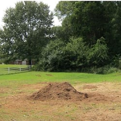 Wood Movers Tree Service