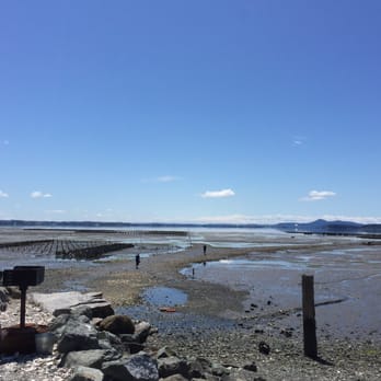 Taylor Shellfish Farms - Seafood Markets Near Me - Bow, Washington Taylor Shellfish Farms - Seafood Markets Near Me - Bow, Washington