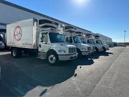 Congressional Seafood - Wholesale Seafood Supplier by null