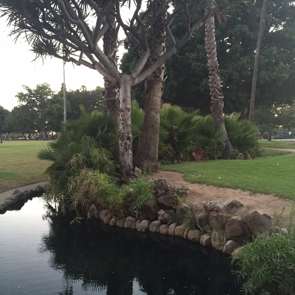 Pearson Park & Pool - Smaller trees and pond - Swimming Pools Near Me - Anaheim, California Pearson Park & Pool - Smaller trees and pond - Swimming Pools Near Me - Anaheim, California