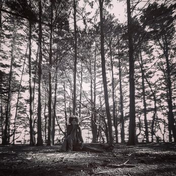 Fitzgerald Marine Reserve - Oh trees, I love thee - Parks Near Me - Moss Beach, California Fitzgerald Marine Reserve - Oh trees, I love thee - Parks Near Me - Moss Beach, California
