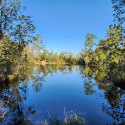 Wekiwa Springs State Park - Such blissful serenity!