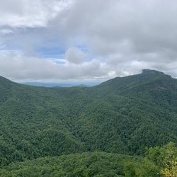 Wiseman's View
