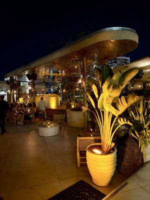Fabel Miami by null