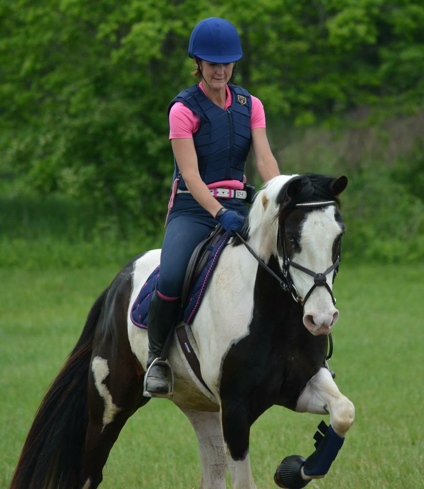 Woodland Horse Center - equestrian in Silver Spring, MD