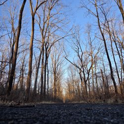 LeTort Spring Run Nature Trail