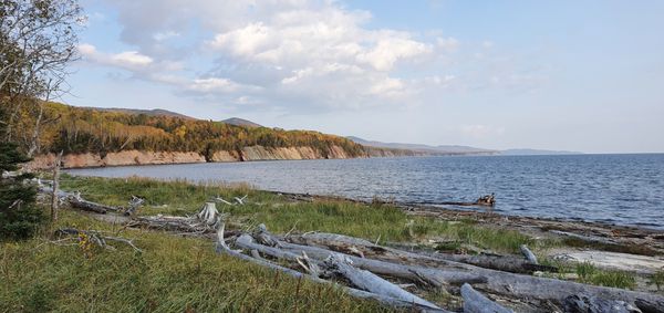 Forillon National Park by null