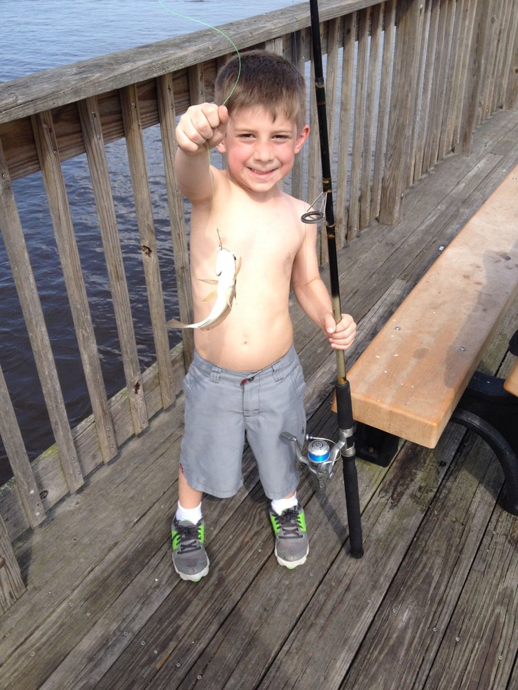 ARLINGTON BAIT AND TACKLE Updated October 2024 13 Photos & 14