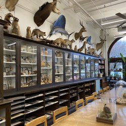 Rhode Island School of Design - The nature lab