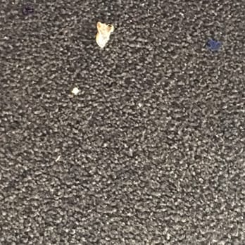 Coco Palm Restaurant - Dirty food on the floor under our table. Restaurant had just opened so clearly they hadn't cleaned up the night before - Cuban Near Me - Pomona, California Coco Palm Restaurant - Dirty food on the floor under our table. Restaurant had just opened so clearly they hadn't cleaned up the night before - Cuban Near Me - Pomona, California