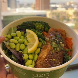 Hokkaido Salad Bowl Base Hokkaido Salad Bowl Base