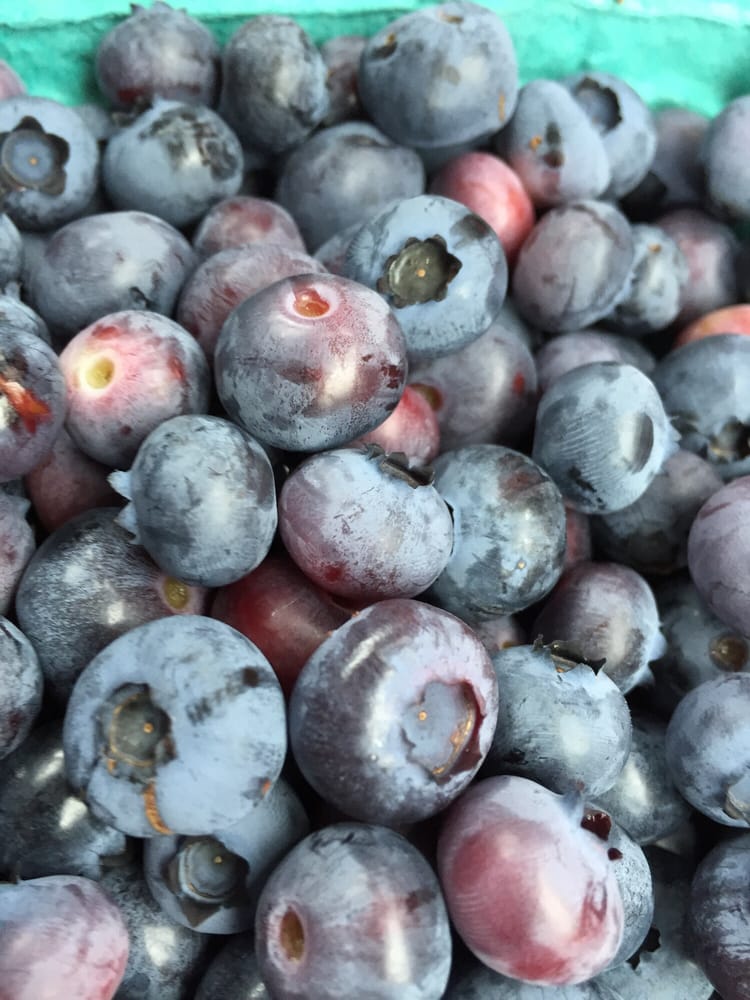 Isham Family Farm Logo