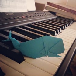 Carolyn Chen - Wallace the Whale: Practice.