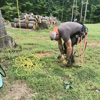 Redline Tree Services - Tree Services Near Me - Iron Station, North Carolina Redline Tree Services - Tree Services Near Me - Iron Station, North Carolina