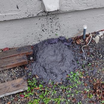 Jimmy G's Services - Years of neglect cause built up lint causing it to mush up from moister not escaping. - Air Duct Cleaning Near Me Jimmy G's Services - Years of neglect cause built up lint causing it to mush up from moister not escaping. - Air Duct Cleaning Near Me