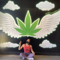 UEM Cannabis - Flying high, photo wall! IG @UEMCanna