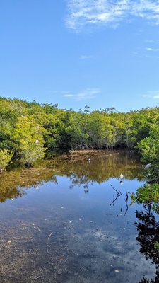 J.N. "Ding" Darling National Wildlife Refuge Visitor and Education Center by null