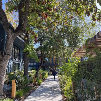 Treehouse Hotel Silicon Valley - lots of greenery everywhere you go - Hotels Near Me - Sunnyvale, California Treehouse Hotel Silicon Valley - lots of greenery everywhere you go - Hotels Near Me - Sunnyvale, California