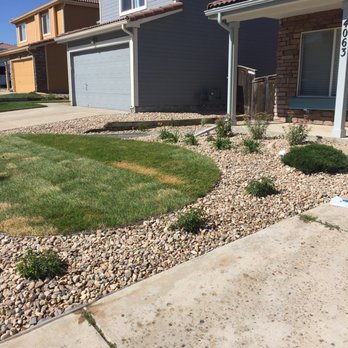 Sulli's Landscaping - Planted shrubs, removed old grass, laid sod, fixed the sprinkler, and cleaned up a mess of a back yard. - Landscaping Near Me - Lakewood, Colorado Sulli's Landscaping - Planted shrubs, removed old grass, laid sod, fixed the sprinkler, and cleaned up a mess of a back yard. - Landscaping Near Me - Lakewood, Colorado