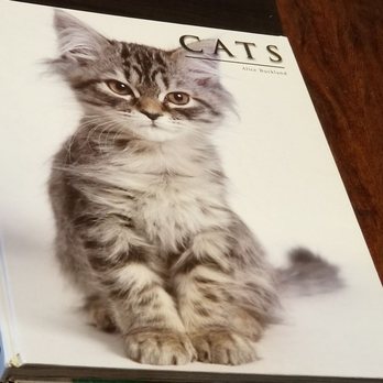Coastal Cat Clinic - CUTE book - Veterinarians Near Me - Pacifica, California Coastal Cat Clinic - CUTE book - Veterinarians Near Me - Pacifica, California