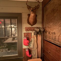 The Red Rose Motel