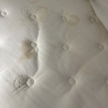Sheraton Arlington Hotel - This is just the beginning ...this place is worn AF. Furniture, paint, carpet, ...and even the wall decorations have seen better days. - Hotels Near Me - Arlington, Texas