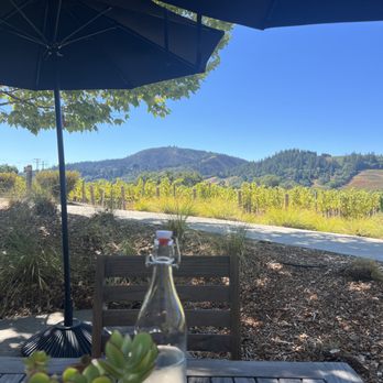 CAST Wines - The view from our patio table. - Wine Tasting Room Near Me - Geyserville, California