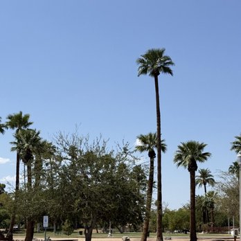 Encanto Park - Palm trees at park - Parks Near Me - Phoenix, Arizona Encanto Park - Palm trees at park - Parks Near Me - Phoenix, Arizona