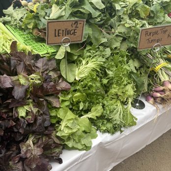 Alma Backyard Farm - Farmers Market Near Me - Compton, California Alma Backyard Farm - Farmers Market Near Me - Compton, California
