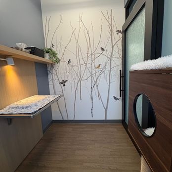 Stoney Trail Veterinary Clinic - Veterinarians Near Me - Calgary, Alberta Stoney Trail Veterinary Clinic - Veterinarians Near Me - Calgary, Alberta