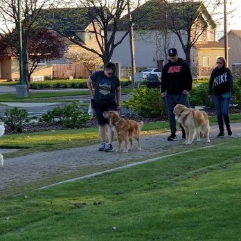 Utah County Dog Training Club - One of our recent group classes practicing some loose leash walking. - Pet Training Near Me - Orem, Utah