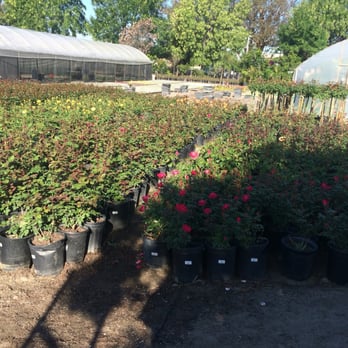 United Plant Growers - Nurseries & Gardening Near Me - Long Beach, California