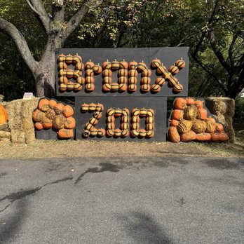 Bronx Zoo - Zoos Near Me - Bronx, New York