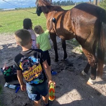 Star Rise Stable - Summer Camps Near Me - Christmas, Florida Star Rise Stable - Summer Camps Near Me - Christmas, Florida