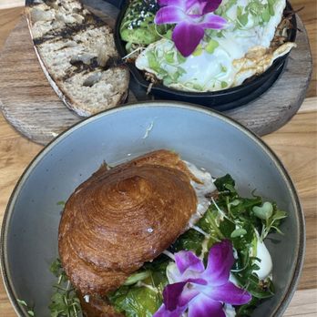 Ojo de Agua - Condesa Eggs and Breakfast sandwich - Juice Bars & Smoothies Near Me - Houston, Texas Ojo de Agua - Condesa Eggs and Breakfast sandwich - Juice Bars & Smoothies Near Me - Houston, Texas