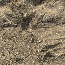 Idle Isle Beach Park - Dirty gravel sand
