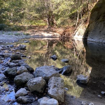 Big Sur Campground and Cabins - Campgrounds Near Me - Big Sur, California