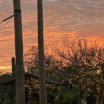 El Huerto - Sunset - Farmers Market Near Me - Cabo San Lucas, BCS