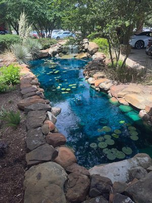 NORTH PARK LEXUS AT DOMINION - Updated July 2025 - 383 Photos & 248