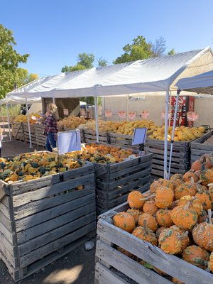 Musso Farms by null