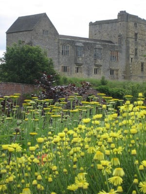 Helmsley Walled Garden by null