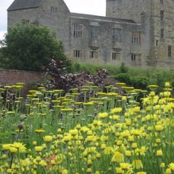 Helmsley Walled Garden - Helmsley Castle from The Walled Garden