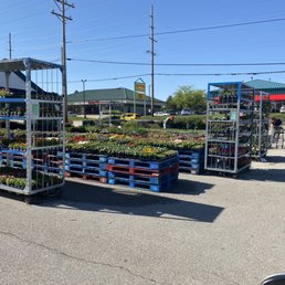 Mostly planet, but produce under pavilion