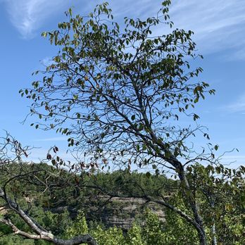Natural Bridge Sky Lift - Great views! - Active Life Near Me - Stanton, Kentucky