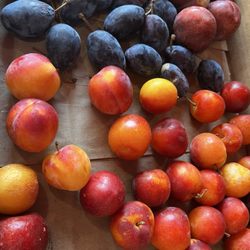 Plums