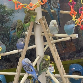 Petco - Pet Training Near Me - San Antonio, Texas Petco - Pet Training Near Me - San Antonio, Texas