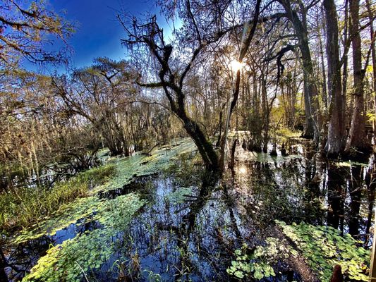 Kirby Storter Roadside Park by null