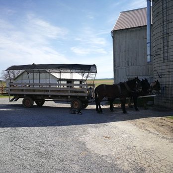 Old Windmill Farm - Attraction Farms Near Me - Ronks, Pennsylvania